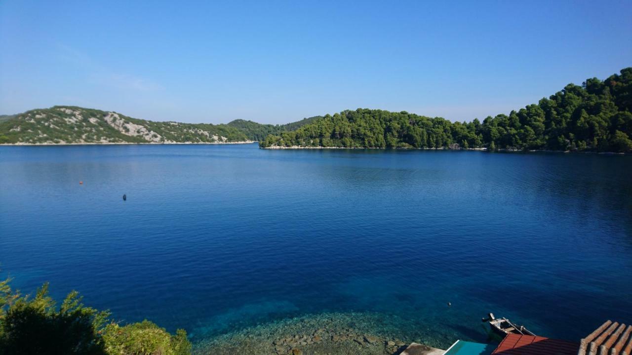 Apartment Dalmatinac Ivo Polače Екстериор снимка